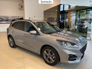 FORD Kuga 1.5 ecoblue st-line 2wd 120cv