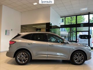 FORD Kuga 1.5 ecoblue st-line 2wd 120cv