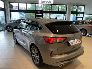 FORD Kuga 1.5 ecoblue st-line 2wd 120cv