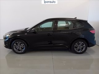 FORD Kuga 1.5 ecoblue st-line 2wd 120cv auto
