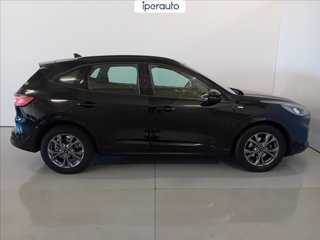 FORD Kuga 1.5 ecoblue st-line 2wd 120cv auto