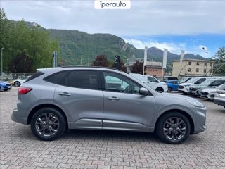 FORD Kuga 1.5 ecoblue st-line 2wd 120cv auto