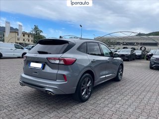 FORD Kuga 1.5 ecoblue st-line 2wd 120cv auto