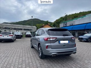 FORD Kuga 1.5 ecoblue st-line 2wd 120cv auto