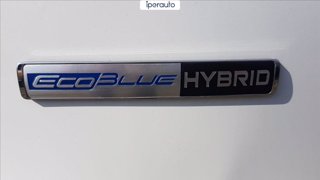 FORD Transit custom 2.0  tdci mhev 130cv trend d.cab. *IVA ESCLUSA*