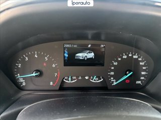 FORD Fiesta 5p 1.0 ecoboost h st-line 125cv