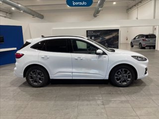 FORD Kuga 2.0 ecoblue st-line x 2wd 120cv auto