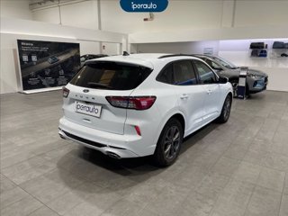 FORD Kuga 2.0 ecoblue st-line x 2wd 120cv auto