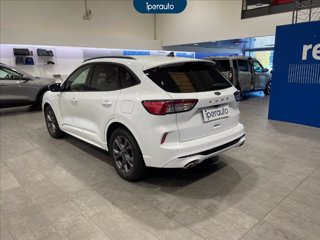 FORD Kuga 2.0 ecoblue st-line x 2wd 120cv auto