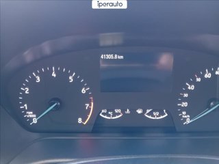 FORD Fiesta active 1.0 ecoboost h 125cv