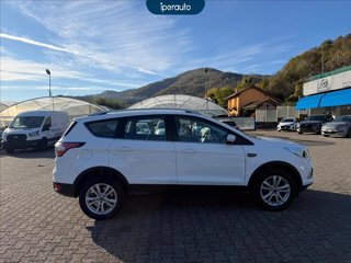 FORD Kuga 1.5 ecoboost plus s&s 2wd 120cv