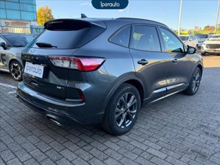 FORD Kuga 2.0 ecoblue mhev st-line 2wd 150cv