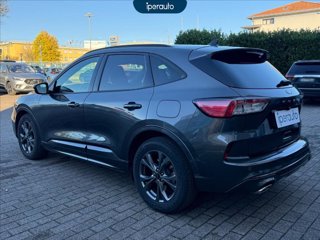 FORD Kuga 2.0 ecoblue mhev st-line 2wd 150cv