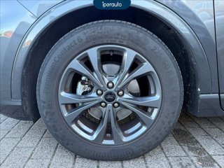 FORD Kuga 2.0 ecoblue mhev st-line 2wd 150cv