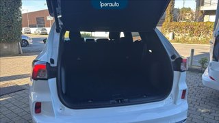 FORD Kuga 2.5 full hybrid ST-Line 2wd 190cv cvt