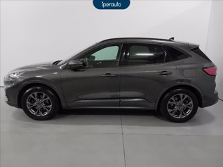 FORD Kuga 1.5 ecoboost st-line x 2wd 150cv