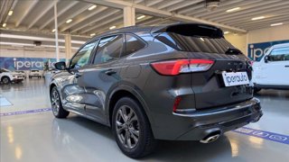 FORD Kuga 1.5 ecoblue ST-Line Design 2wd 120cv