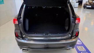 FORD Kuga 1.5 ecoblue ST-Line Design 2wd 120cv