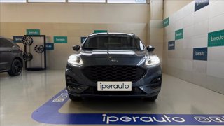 FORD Kuga 2.5 phev st-line x 2wd 225cv cvt TETTO APRIBILE