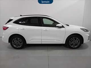 FORD Kuga 2.5 phev st-line x 2wd 225cv cvt TETTO PANORAMICO