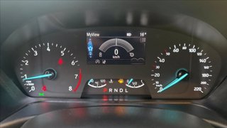 FORD Fiesta 5p 1.0 ecoboost h ST-Line 125cv powershift