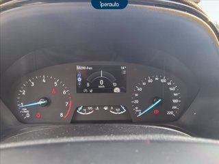 FORD Puma 1.0 ecoboost h titanium s&s 125cv