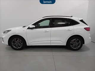 FORD Kuga 1.5 ecoblue st-line 2wd 120cv