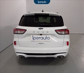 FORD Kuga 1.5 ecoblue st-line 2wd 120cv