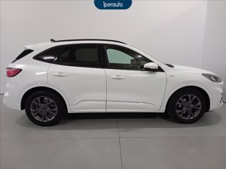 FORD Kuga 1.5 ecoblue st-line 2wd 120cv