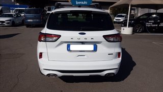 FORD Kuga 2.5 phev st-line 2wd 225cv cvt TETTO PANORAMICO