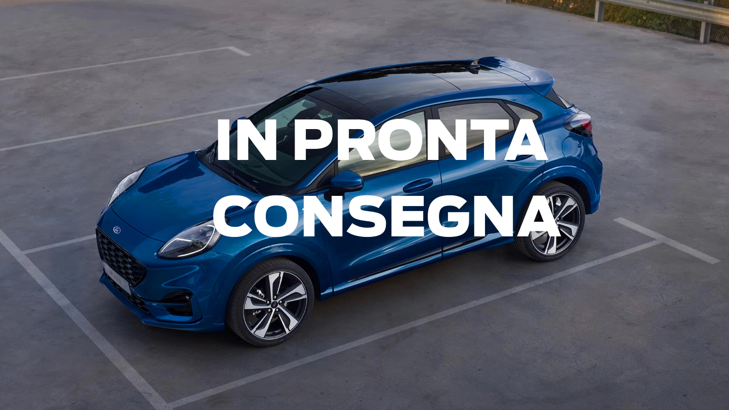 Puma In Pronta Consegna