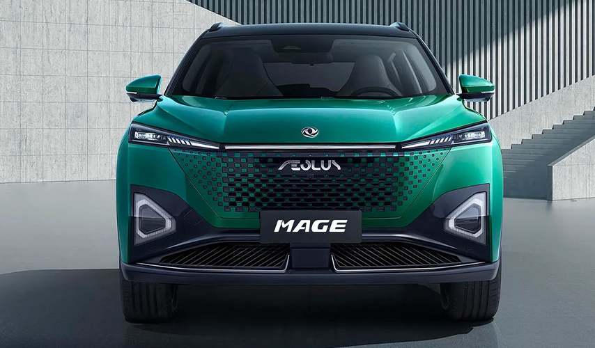 DF Website Mage Specs 1